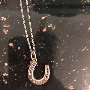 16” Authentic Tiffany & Co horseshoe necklace